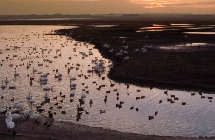 Wetlands and wellbeing: A guide for winter | Mental Health Foundation