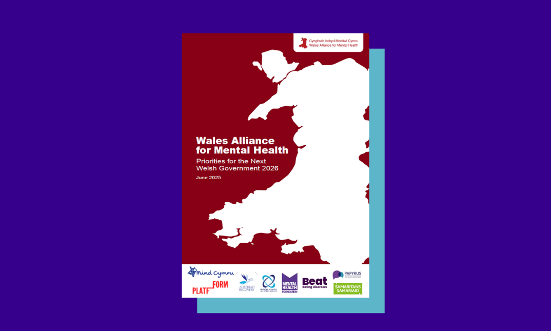 Wales Alliance for Mental Health Manifesto | Mental Health Foundation