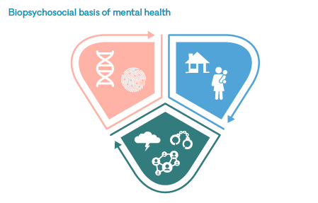 Biopsychosocial basis of mental health graphic