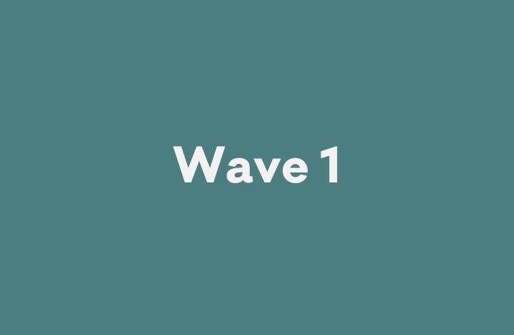 Wave 1 cover