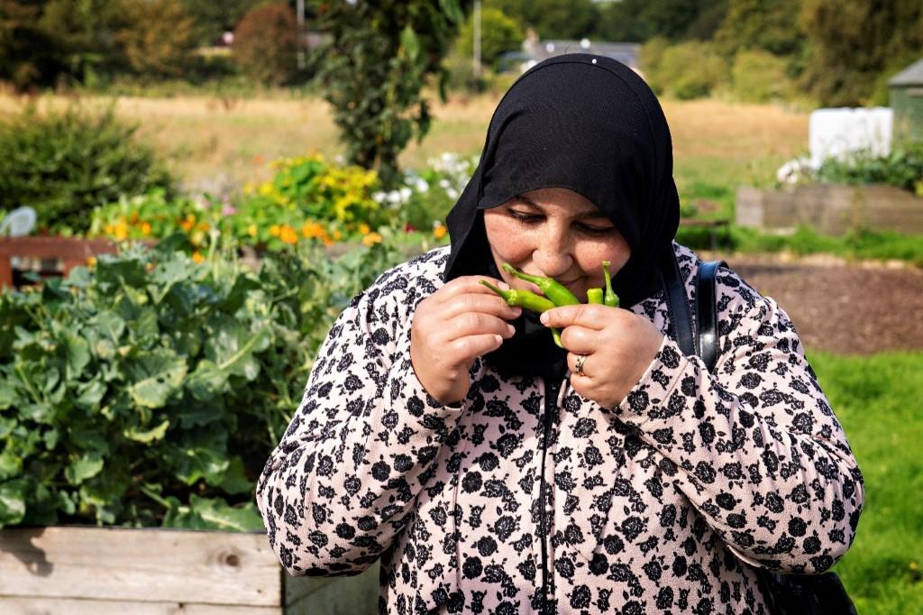 Photo of someone gardening as part of the Refugee Health Policy and Action Group programme