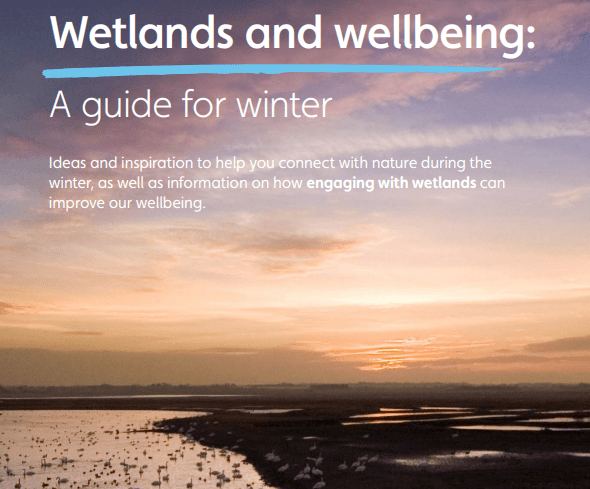Wetlands and wellbeing