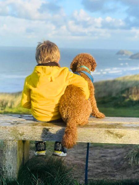 A young child and a dog looking at the sea - positive image library