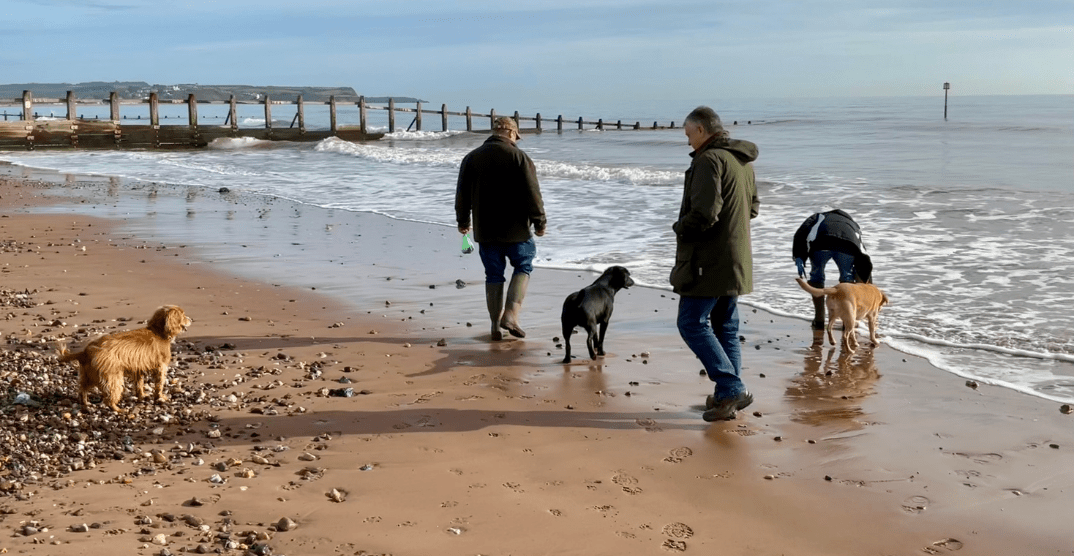 A group of people walk their dogs on a wintery beach