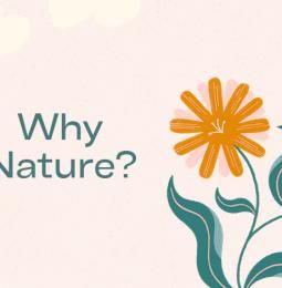 Graphic with flowers and the words 'Why Nature?'
