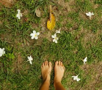 Bare feet on green grass