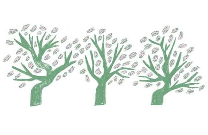 A hand-drawn illustration of some green trees with pink leaves