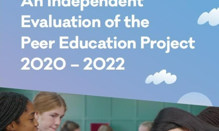 Cover of the PEP Executive Summary Report 2020-2022, cropped to a square