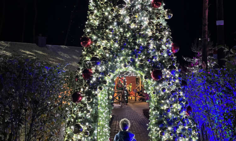 A child under a tall, brightly lit Christmas tree