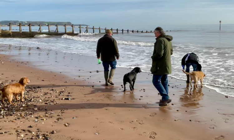 A group of people walk their dogs on a wintery beach