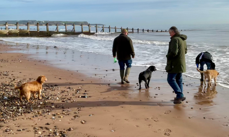 A group of people walk their dogs on a wintery beach