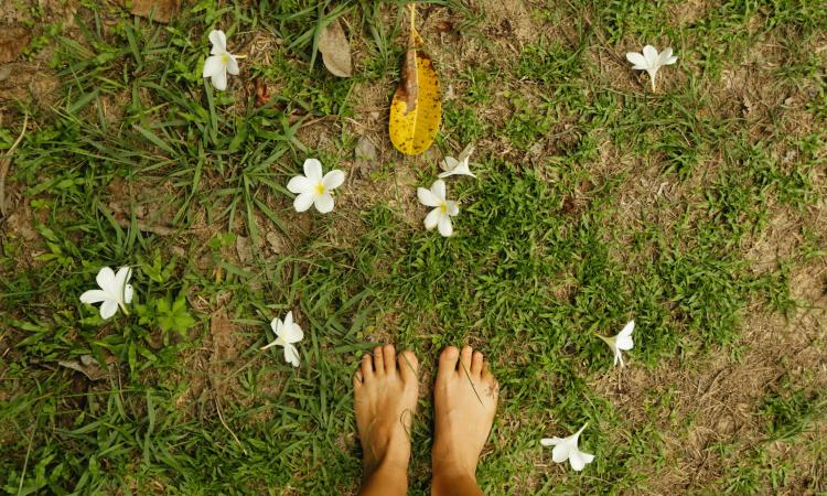 Bare feet on green grass