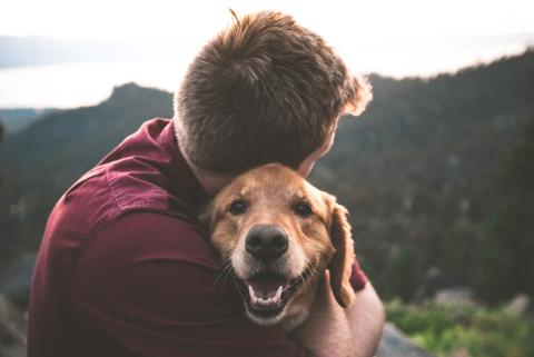 A man facing a way from the camera holder a golden retriever dog who is looking straight at us