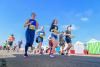 Brighton Half Marathon runners