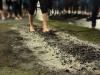 Firewalk showing feet on hot coals